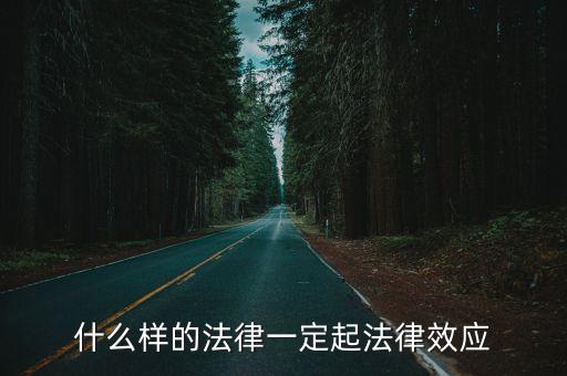 什么樣的法律一定起法律效應(yīng)