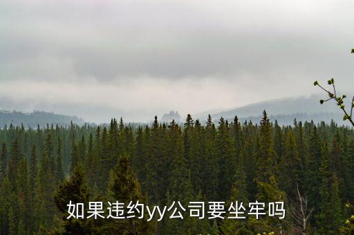 如果違約yy公司要坐牢嗎