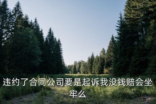 違約了合同公司要是起訴我沒錢賠會坐牢么