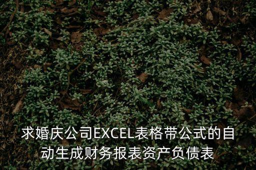 求婚慶公司EXCEL表格帶公式的自動(dòng)生成財(cái)務(wù)報(bào)表資產(chǎn)負(fù)債表
