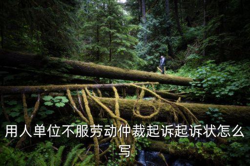 用人單位不服勞動仲裁起訴起訴狀怎么寫