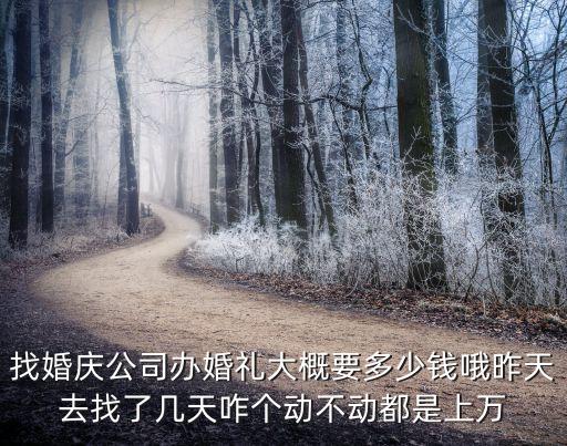 找婚慶公司辦婚禮大概要多少錢哦昨天去找了幾天咋個動不動都是上萬