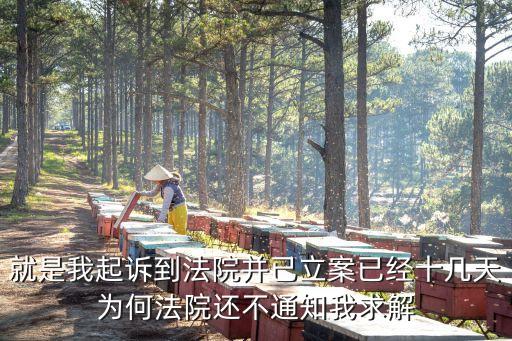 立案10天了怎么還沒通知被告，就是我起訴到法院并已立案已經(jīng)十幾天為何法院還不通知我求解