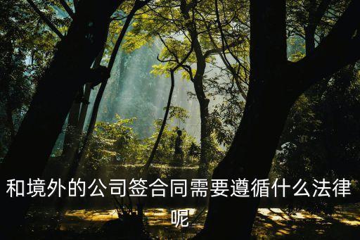 和境外的公司簽合同需要遵循什么法律呢
