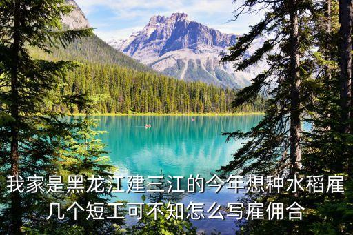 黑龍江省勞動合同范本，哈爾濱市勞動和社會保障局監(jiān)制的勞動合同書樣本在哪能找到