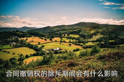 合同撤銷權(quán)的除斥期間會(huì)有什么影響