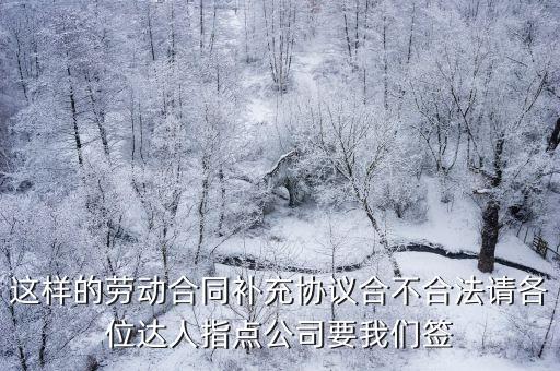 增補合同法律意見書，請問哪里可以看到補充法律意見書