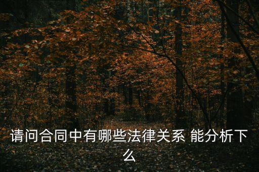 合同中的法律關系怎么寫，請問合同中有哪些法律關系 能分析下么
