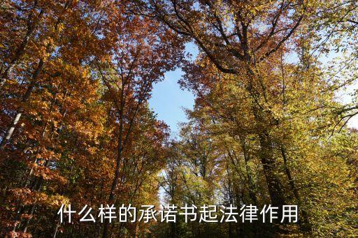 什么樣的承諾書起法律作用