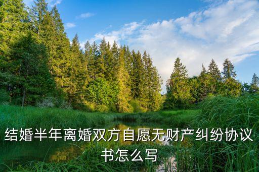 結(jié)婚半年離婚雙方自愿無財產(chǎn)糾紛協(xié)議書怎么寫