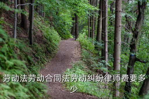 勞動法勞動合同法勞動糾紛律師費要多少