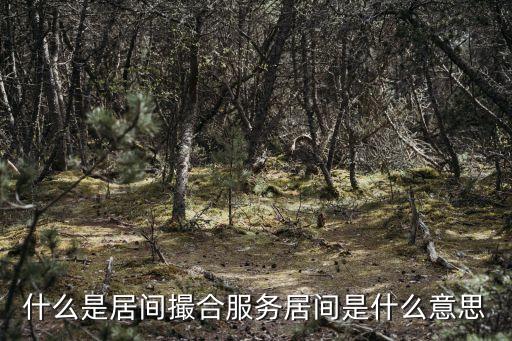 居間跟中介的區(qū)別，房屋租賃居間是什么意思
