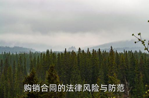 購(gòu)銷合同的法律風(fēng)險(xiǎn)與防范