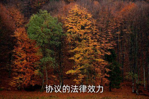 聲明與協(xié)議的法律效力，聲明書的法律效力