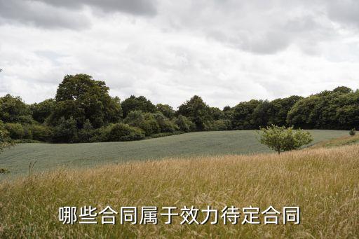 效力待定合同的法律規(guī)定，我國合同法規(guī)定了哪幾種效力待定合同