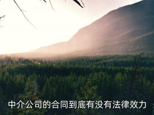 中介公司的合同到底有沒有法律效力