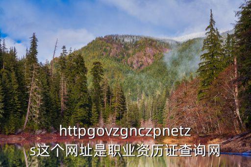 httpgovzgnczpnetzs這個(gè)網(wǎng)址是職業(yè)資歷證查詢網(wǎng)