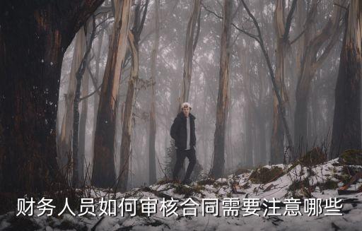 財務(wù)人員如何審核合同需要注意哪些