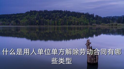 什么是用人單位單方解除勞動合同有哪些類型