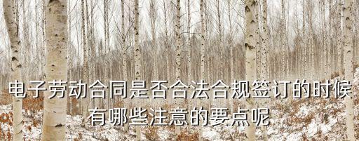 勞動(dòng)合同模板電子版一張紙可以嗎，電子勞動(dòng)合同是否合法合規(guī)簽訂的時(shí)候有哪些注意的要點(diǎn)呢