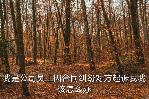 我是公司員工因合同糾紛對方起訴我我該怎么辦