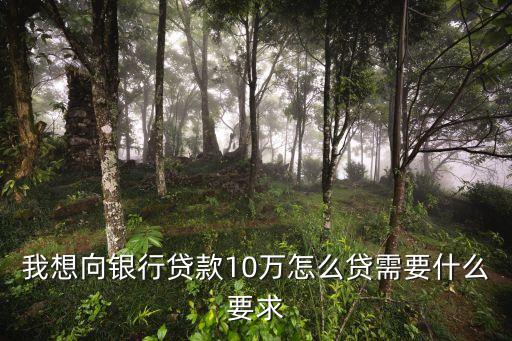 我想向銀行貸款10萬怎么貸需要什么要求