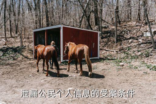 泄露公民個(gè)人信息的受案條件，泄漏公民個(gè)人信息的受案條件