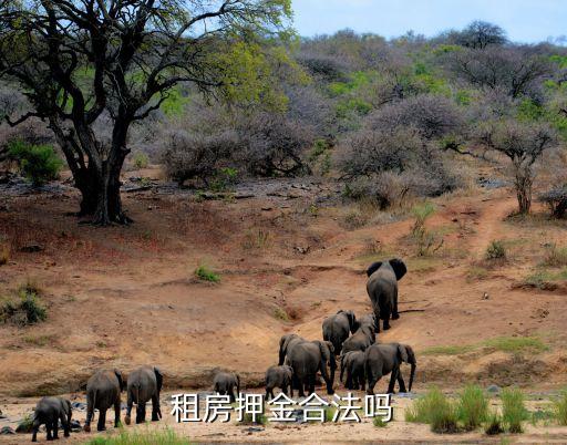 關(guān)于租房押金的法律問題及答案，租房退押金的法律規(guī)定