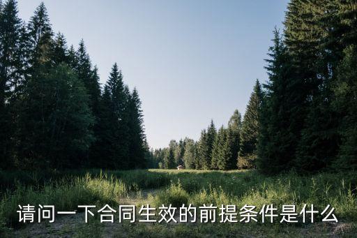 合同產(chǎn)生法律效力的根本前提，合同具有法律效力的條件