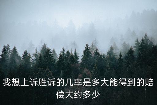 我想上訴勝訴的幾率是多大能得到的賠償大約多少
