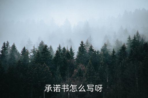 個(gè)人承諾協(xié)議書(shū)模板，誰(shuí)能給我一份發(fā)生事故責(zé)任由自己本人承擔(dān)的承諾書(shū)范文