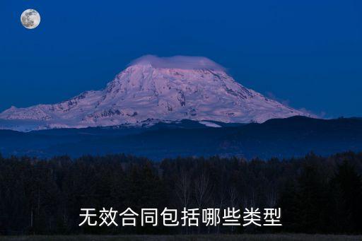 無效合同包括哪些類型