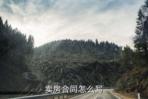 賣房合同怎么寫
