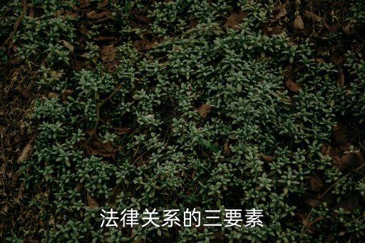 法律關(guān)系的三要素