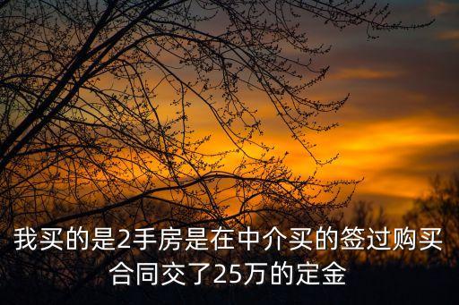 我買的是2手房是在中介買的簽過(guò)購(gòu)買合同交了25萬(wàn)的定金