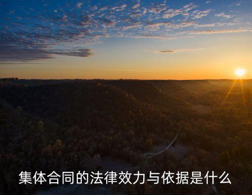 簽訂集體合同適用哪些法律，集體合同有什么法律效力
