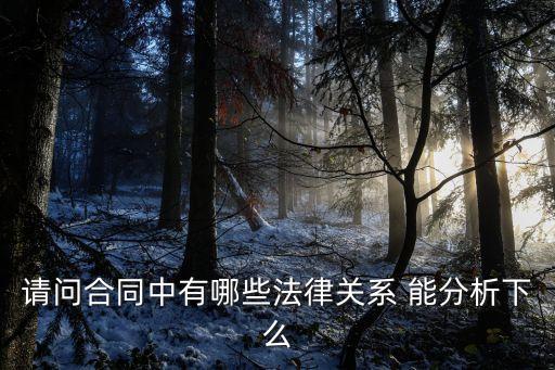 合同與法律關系有哪些，請問合同中有哪些法律關系 能分析下么