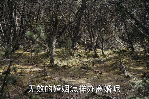 無效合同怎么辦理離婚，無效的婚姻怎樣辦離婚呢