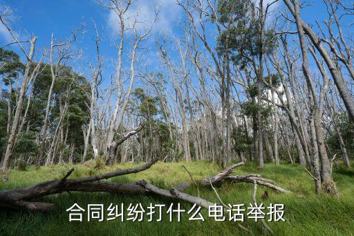 合同糾紛打什么電話舉報(bào)