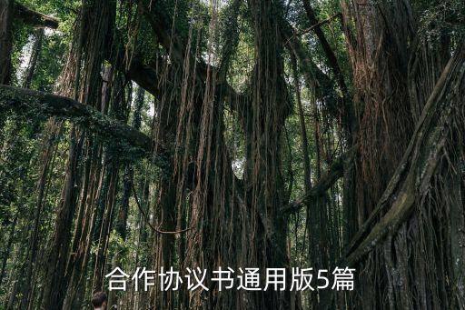 合作協(xié)議書(shū)通用版5篇