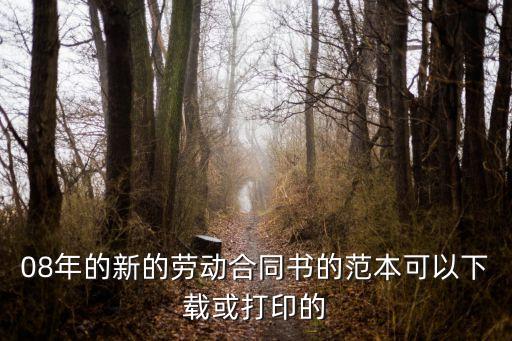 08年的新的勞動合同書的范本可以下載或打印的