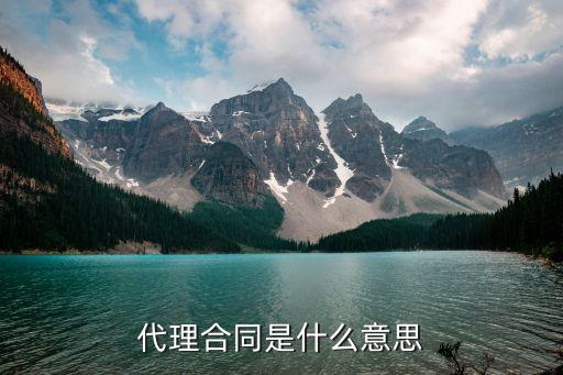 代理合同法律意義有哪些，銷售代理權(quán)的法律意義