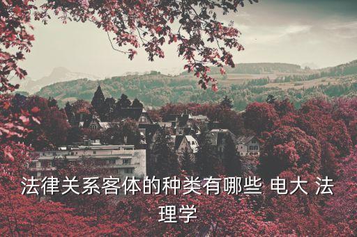 法律關(guān)系客體的種類有哪些 電大 法理學(xué)