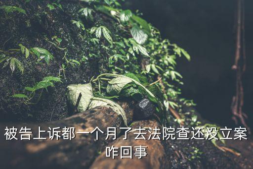 被告上訴都一個月了去法院查還沒立案咋回事