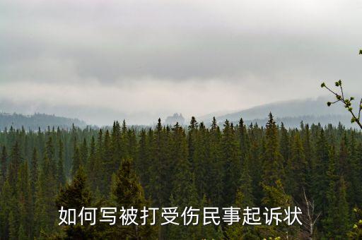 如何寫被打受傷民事起訴狀