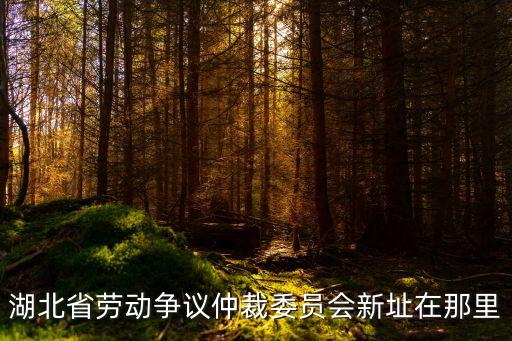 武漢仲裁機(jī)構(gòu)在哪里，湖北省勞動(dòng)爭(zhēng)議仲裁委員會(huì)新址在那里