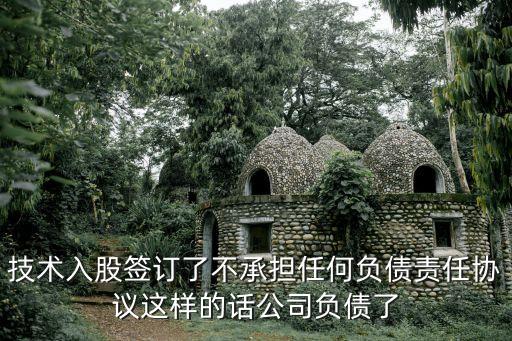 技術(shù)入股簽訂了不承擔(dān)任何負(fù)債責(zé)任協(xié)議這樣的話公司負(fù)債了