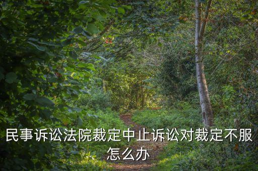 民事訴訟法院裁定中止訴訟對(duì)裁定不服怎么辦