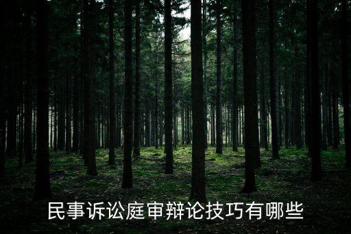 民事訴訟庭審辯論技巧有哪些