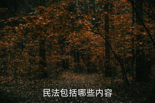民法典民事糾紛內(nèi)容，民事訴訟的主要內(nèi)容有哪些